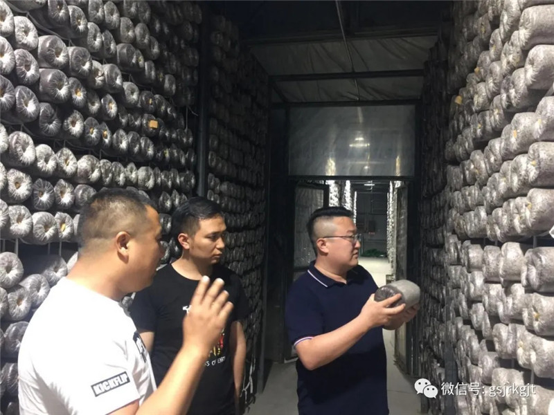 甘肅金控隴南擔(dān)保公司針對(duì)在保項(xiàng)目開展集中檢查月活動(dòng)